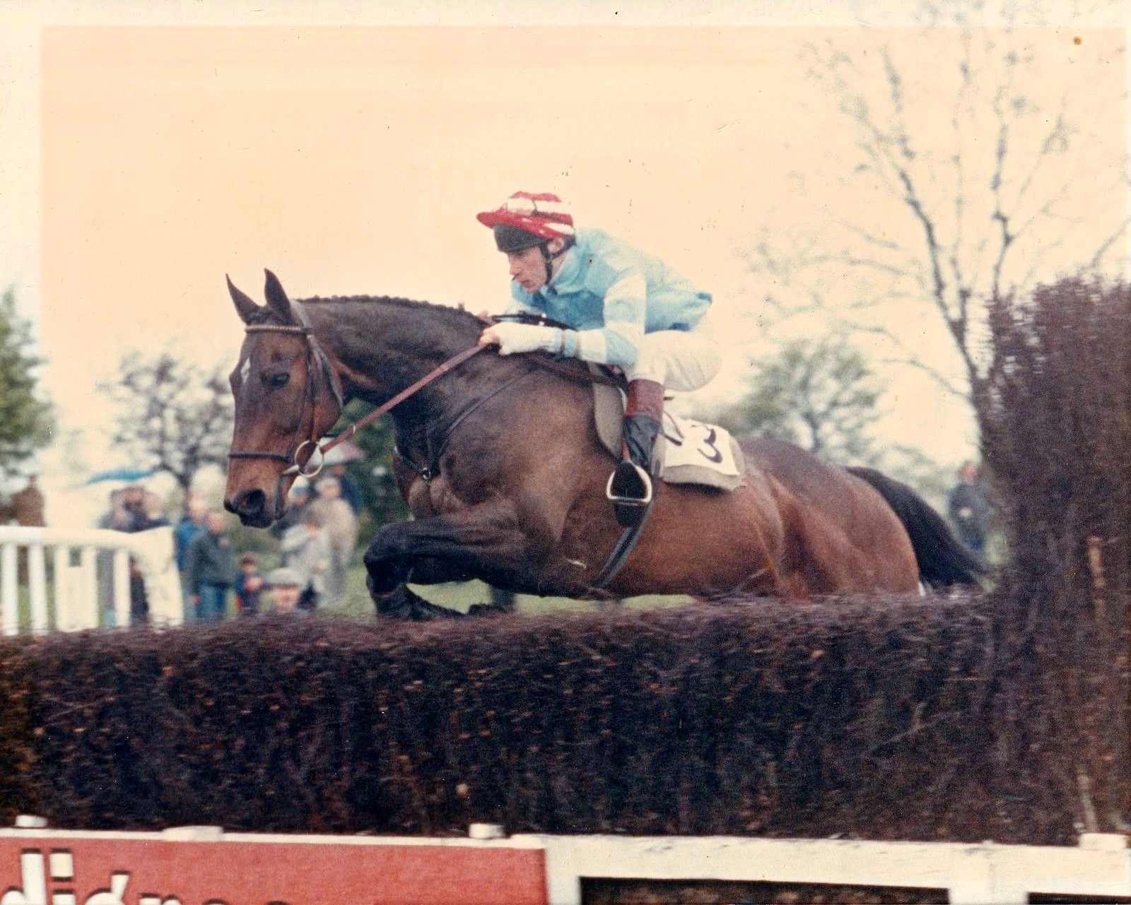 Freddy Dixon Memorial Cup Handicap Chase