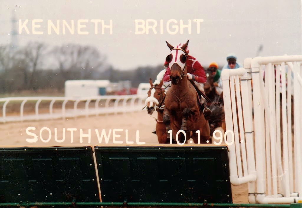 Camembert Novices Hurdle