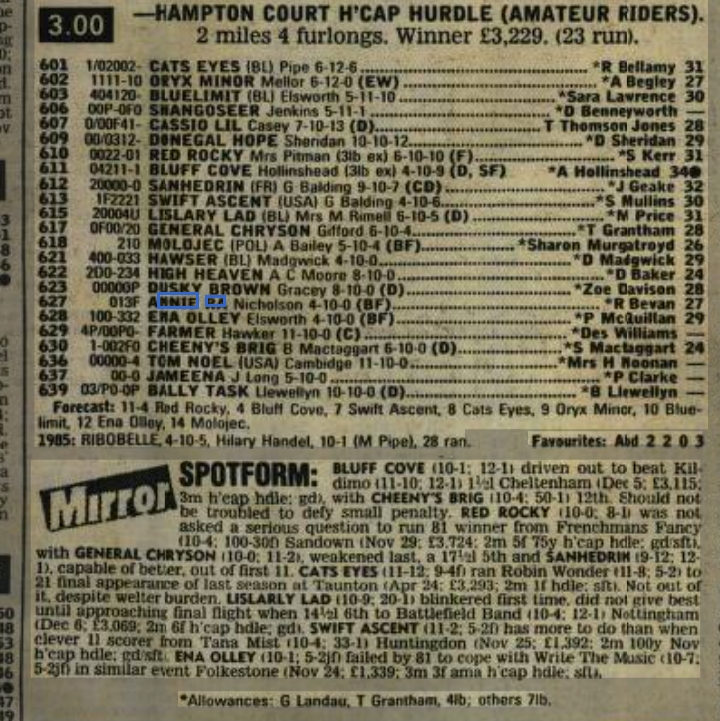 13/12 Ascot Hampton Court Handicap Hurdle (Amateur Riders) Annie Ra 13th/22