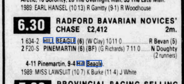 Radford Bavarian Novices Chase