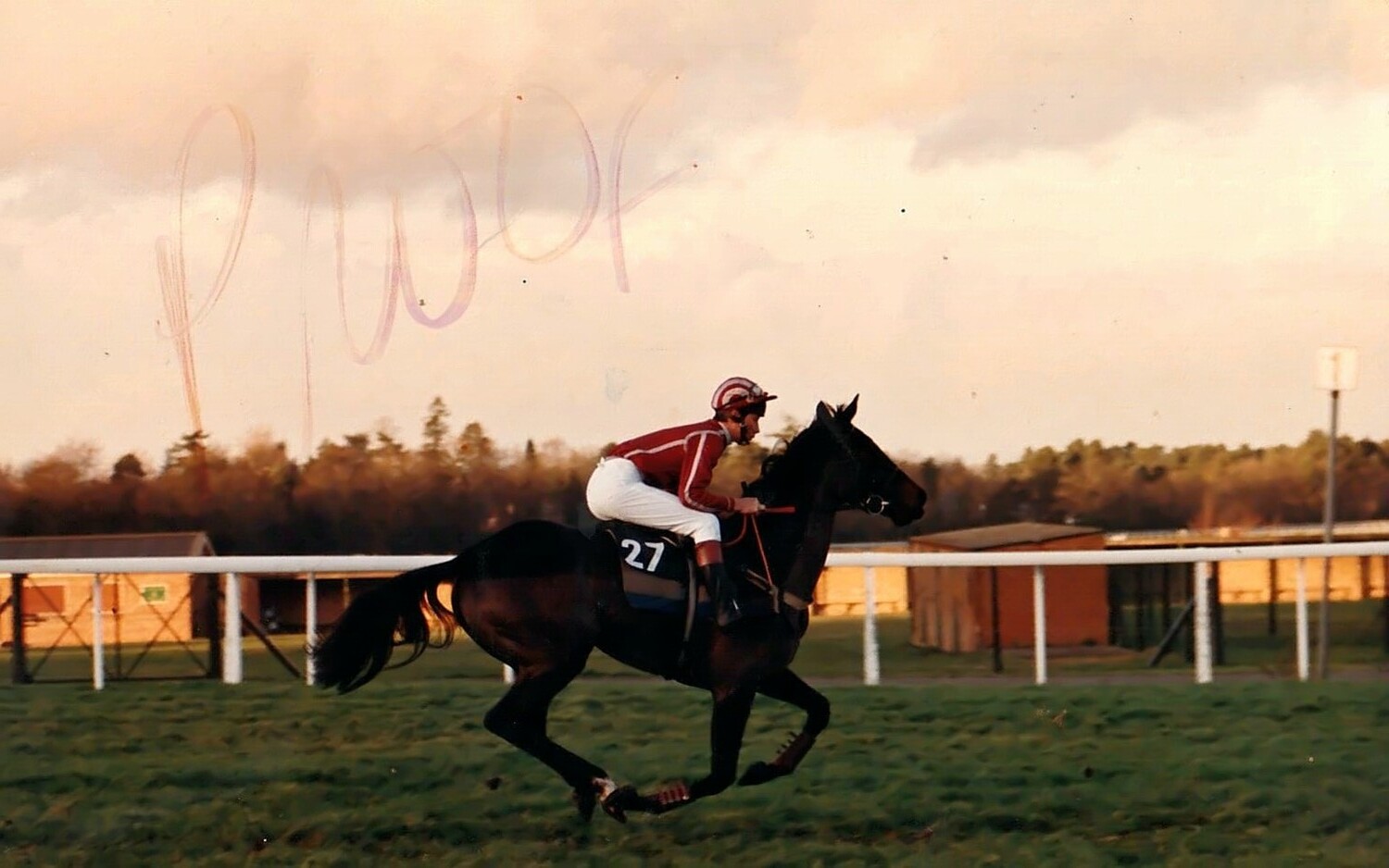 13/12 Ascot Hampton Court Handicap Hurdle (Amateur Riders)