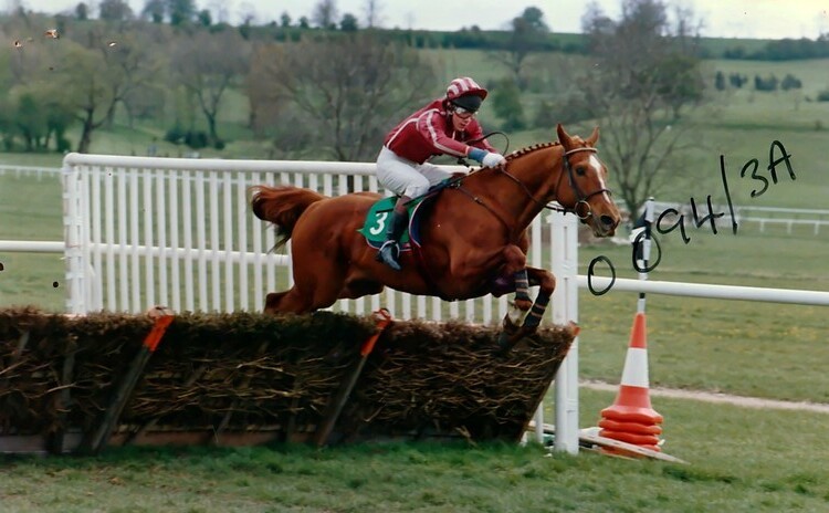 Marchington Novices Hurdle