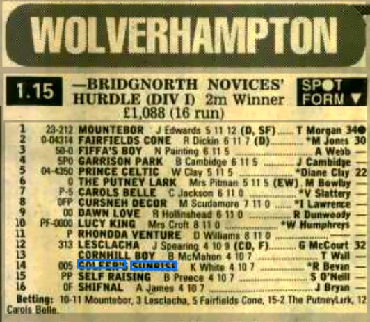Bridgnorth Novices Hurdle (Div I)