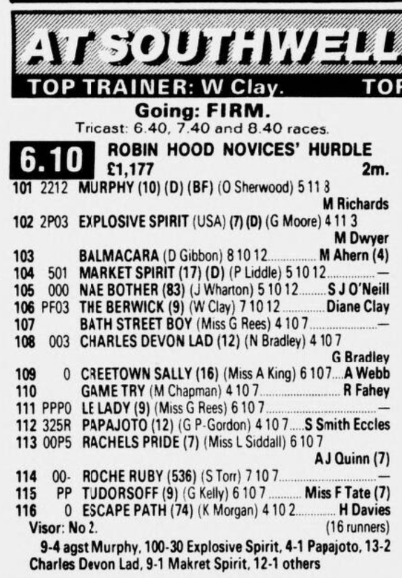 Robin Hood Novices Hurdle