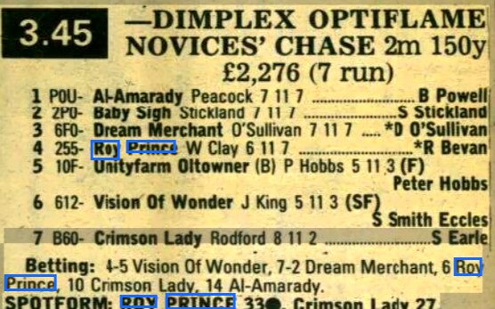 Dimplex Optiflame Novices Chase