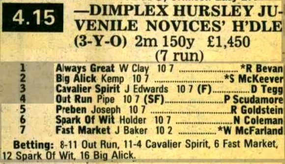 Dimplex Hursley Juvenile Novices Hurdle