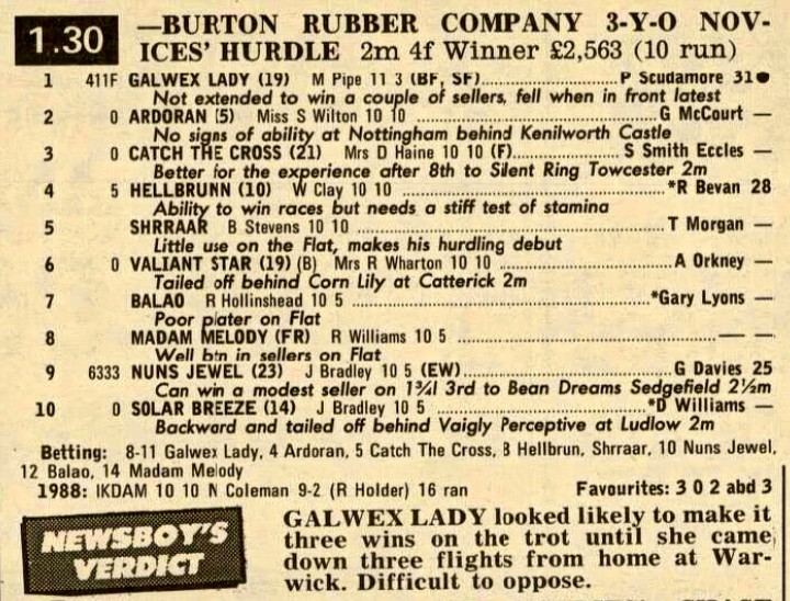Burton Rubber Company Three Year Old Novices Hurdle