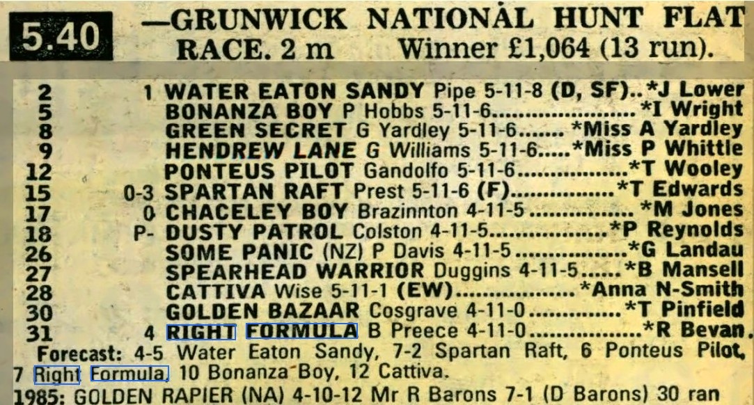 Grunwick Stakes National Hunt Flat Race