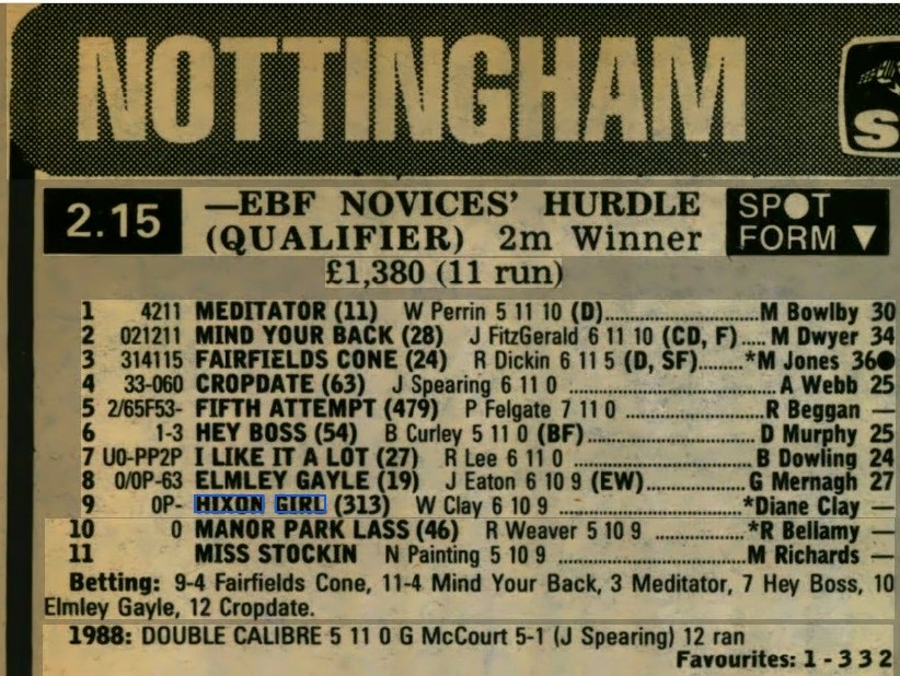 EBF Novices Hurdle Qualifier