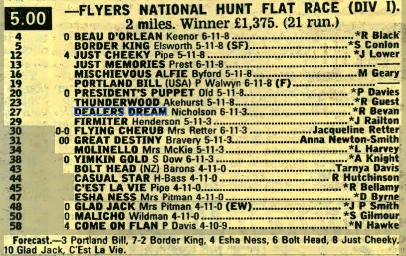 Flyers National Hunt Flat Race
