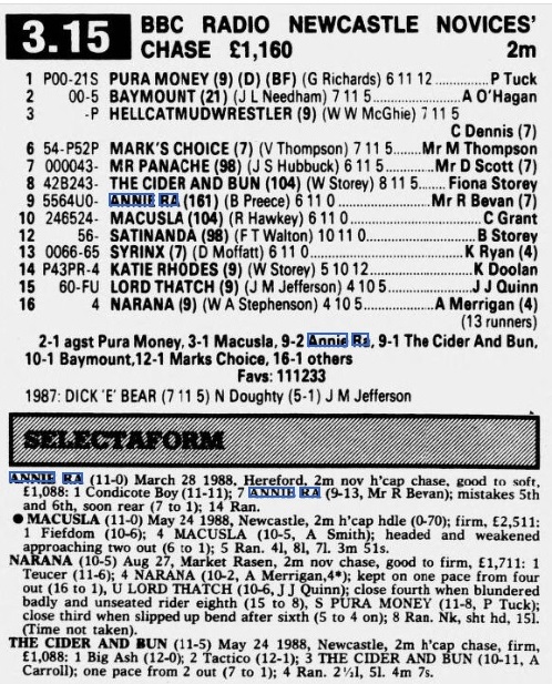 BBC Radio Newcastle Novices Chase